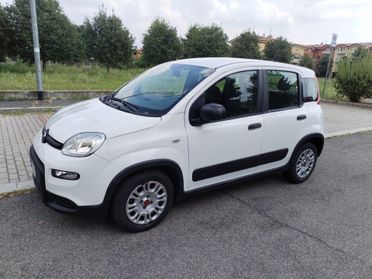 Fiat Panda Van 4 posti 2021