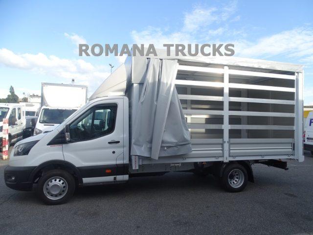 FORD Transit 130CV CENTINA E TELONE ALZA E ABBASSA ELETTRICA