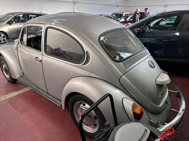 Volkswagen Maggiolino