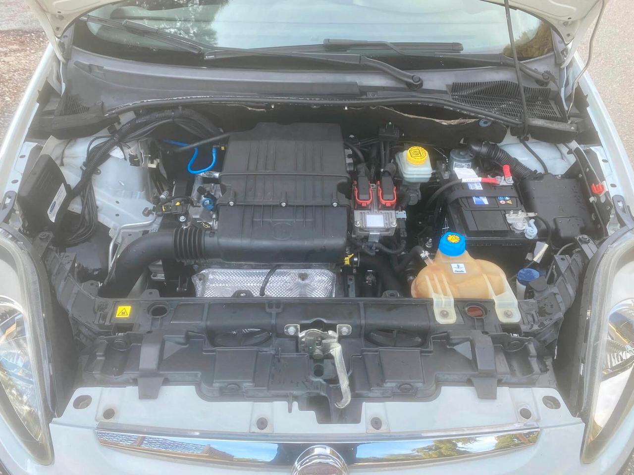 Fiat Punto Evo 1.4 5 porte Dynamic GPL