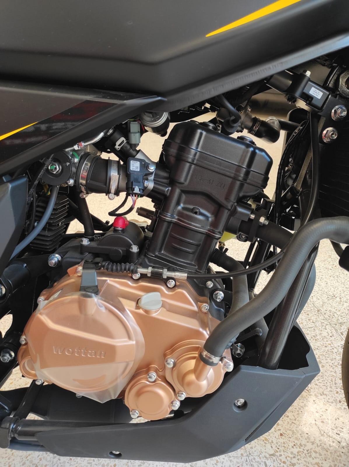 WOTTAN REBBE + 125 SCONTO EXTRA DICEMBRE