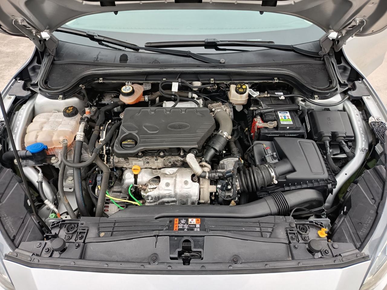 Ford Focus 1.5 TDCi 120 CV Start&Stop SW Business