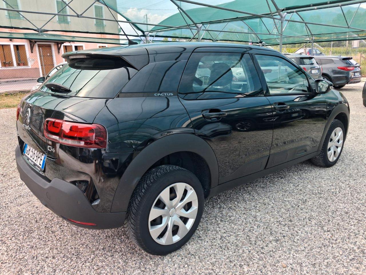 Citroen C4 Cactus 1.5 bluehdi Feel s&s 100cv my19