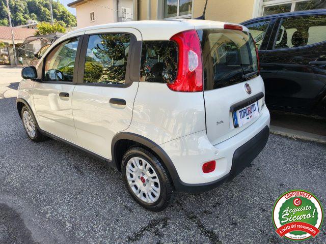 FIAT Panda 1.0 FireFly S&S Hybrid UNICO PROPRIETARIO