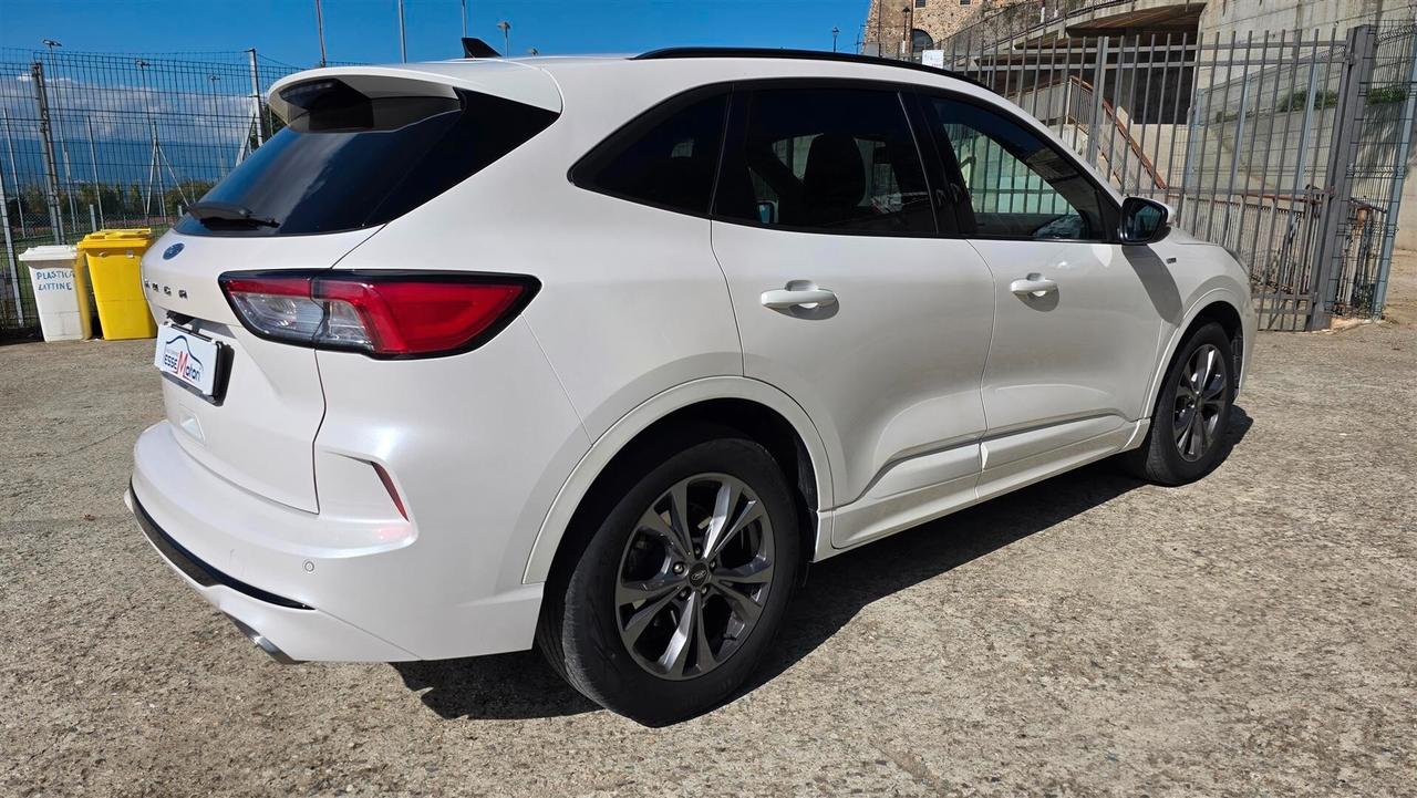 Ford Kuga 1.5 EcoBlue 120 CV aut. 2WD ST-Line X