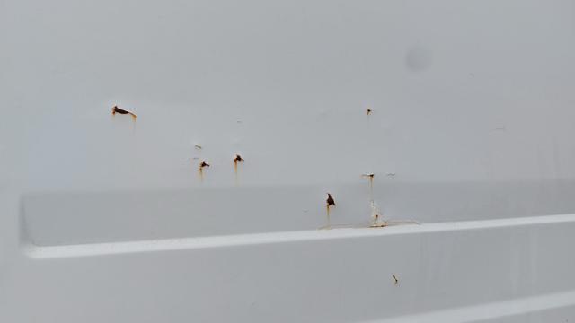 IVECO Daily 35 C 11A 2.8 D PL-TA Furgone Maxi