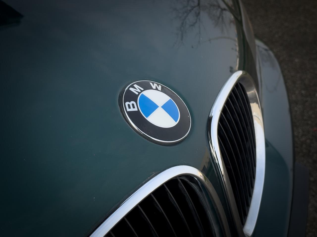 Bmw Z3 1.9 16V Roadster Tagliandi Certificati Dunkelgrün 2 – Interni Oregon Beige/Moss Green