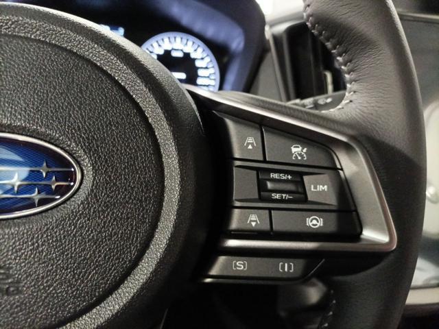 SUBARU Crosstrek 2.0i e-Boxer MHEV CVT Lineartronic Premium