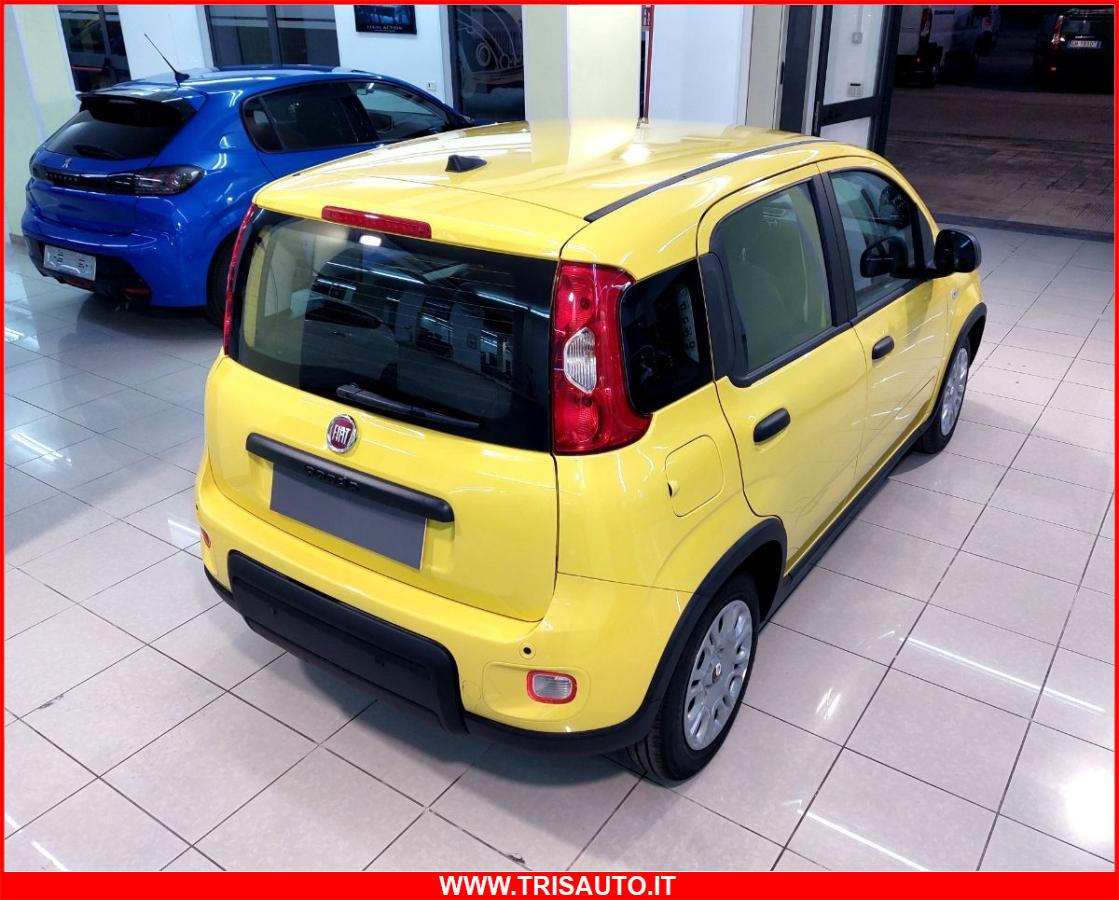 FIAT Panda 1.0 FireFly S&S Hybrid MY24 KM ZERO!!! IVATA NEOPATENTATI