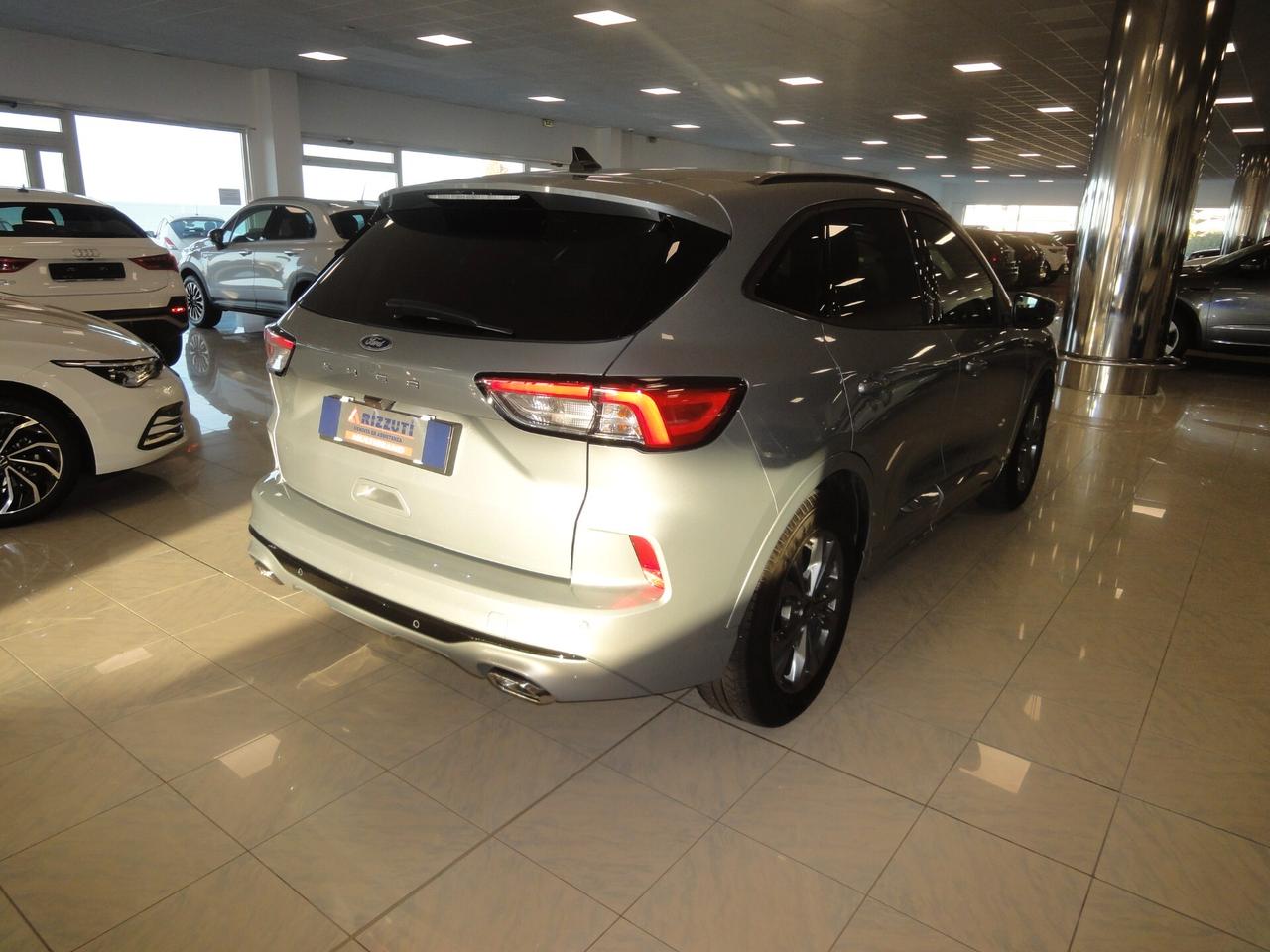 Ford Kuga 1.5 EcoBlue 120 CV aut. 2WD ST-Line