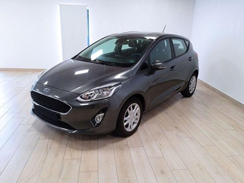 Ford Fiesta 7ª serie 1.1 85 CV 5 porte Plus