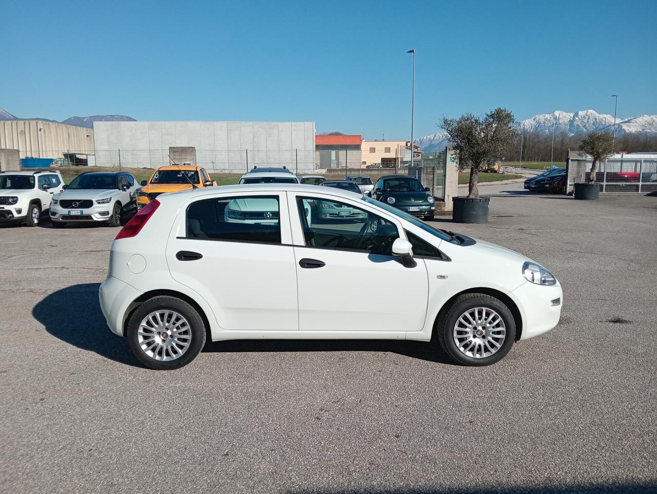 Fiat Punto 1.2 Street 5 porte OK NEOPATENTATI