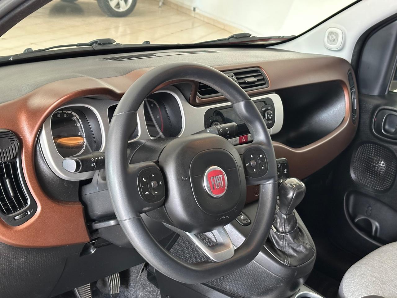 Fiat Panda Cross 1.3 MJT 80 Cv S&S 4x4