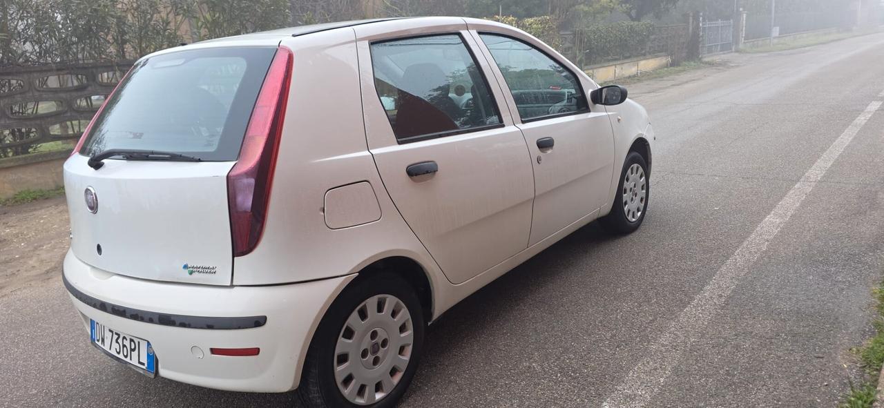 Fiat Punto Classic 1.2 5 porte Natural Power Active