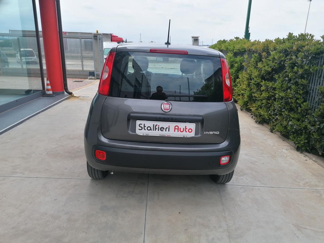 Fiat Panda 1.0 FireFly S&S BENZINA