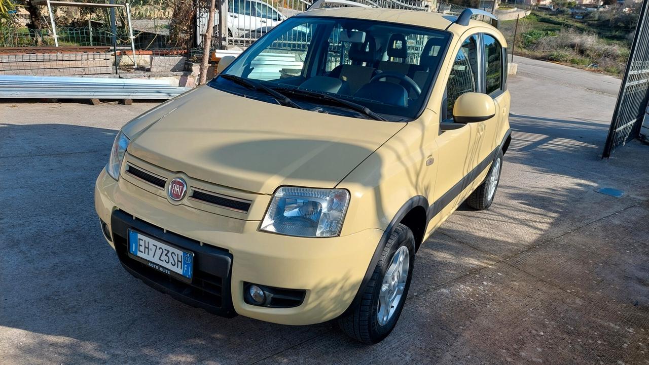 Fiat Panda 1.3 MJT 16V DPF 4x4 Climbing