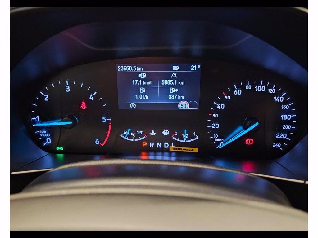 FORD Focus 1.5 ecoblue st-line 115cv auto del 2024