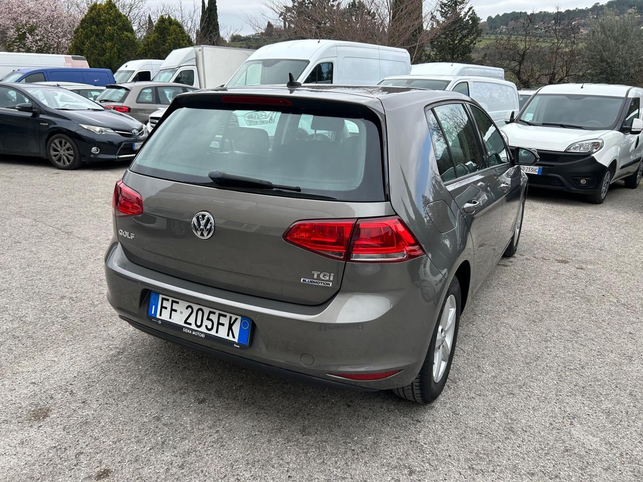 Volkswagen Golf 1.4 TGI 5p. Executive BlueMotion