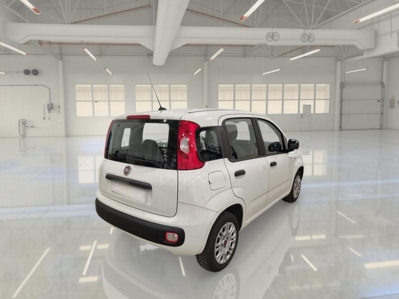 FIAT PANDA 1.2 69 CV SES E6D-TEMP EASY 5 PORTE BERLINA