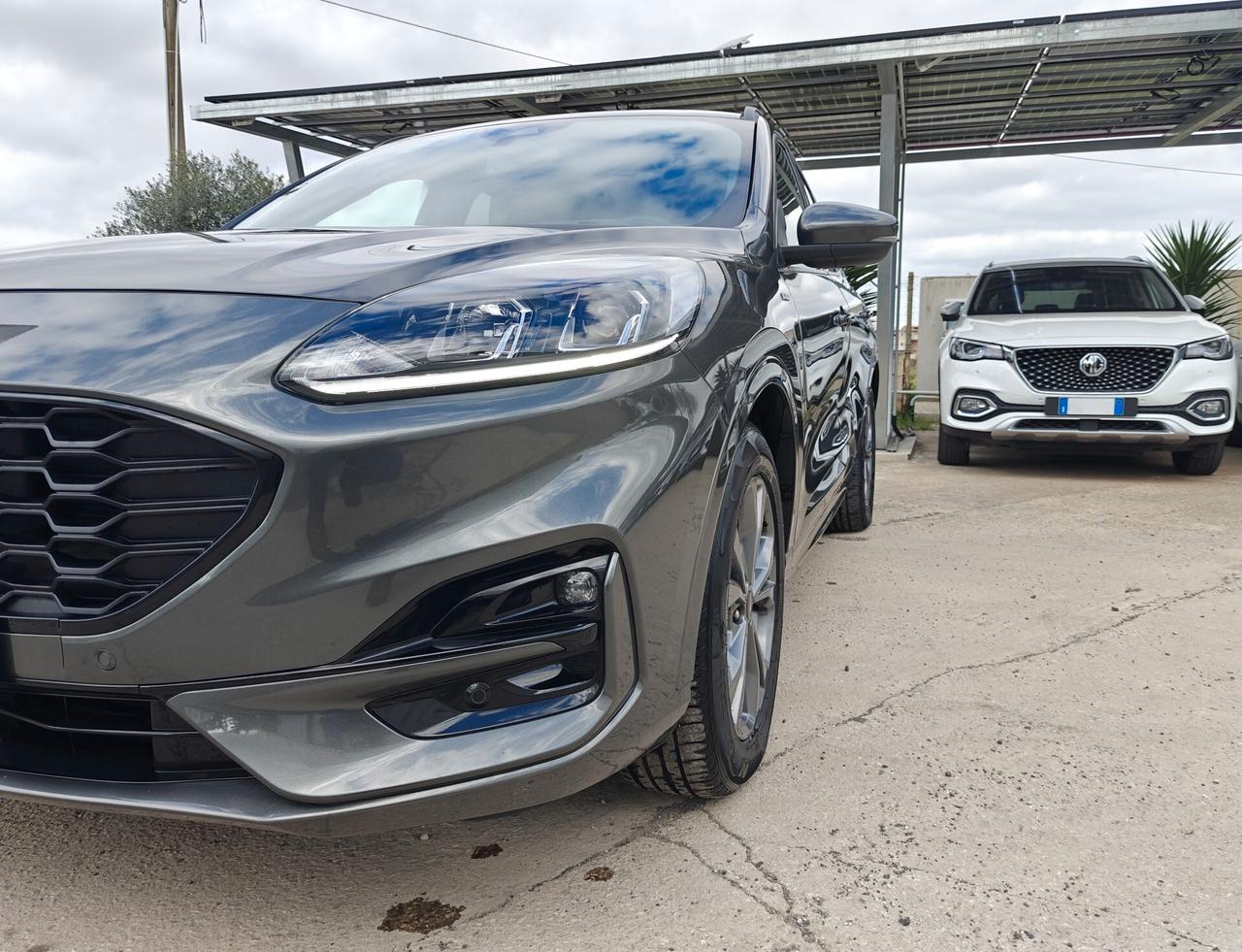 Ford Kuga 1.5 EcoBlue 120 CV aut. 2WD ST-Line X