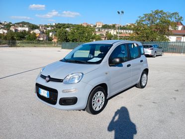 Fiat Panda 1.2 BENZINA 70CV 2020 EASY