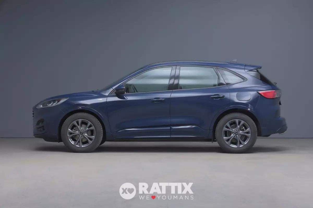 Ford Kuga 2.0 Ecoblue Mhev 150CV ST-Line