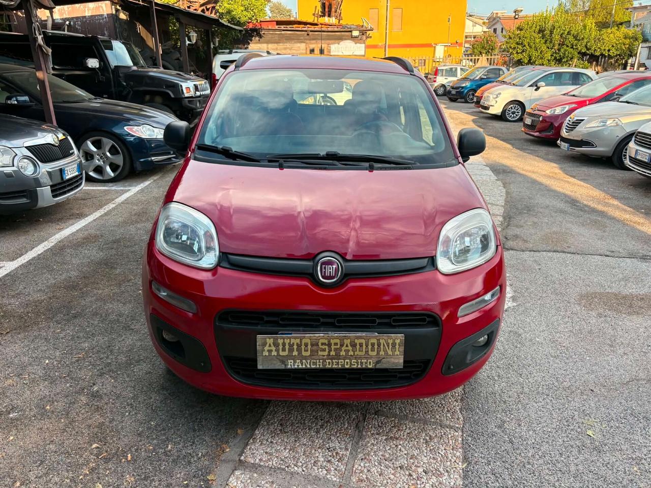 Fiat Panda 1.2 Lounge NEOPATENTATI