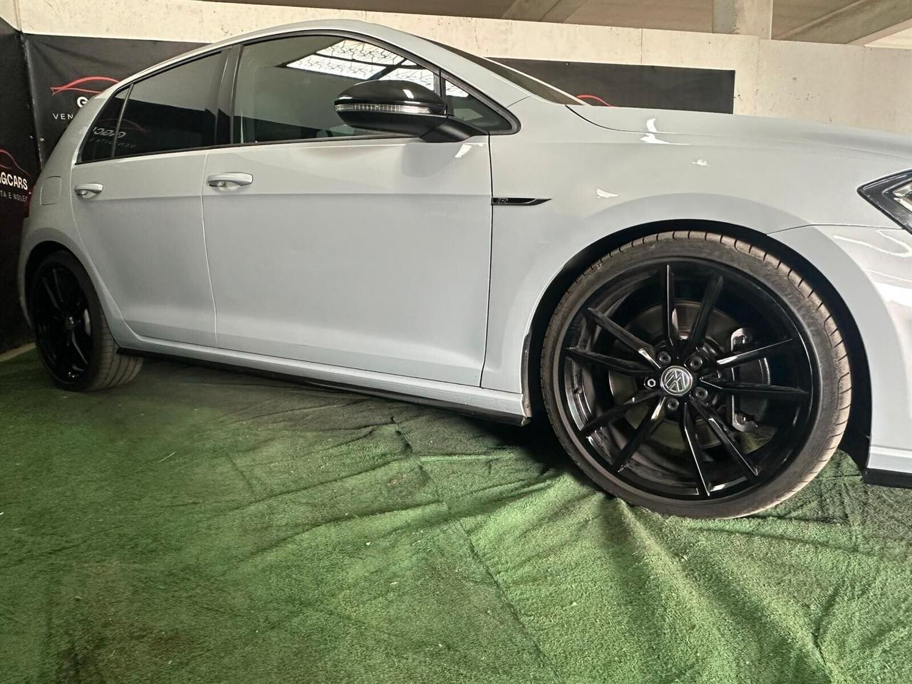 Volkswagen Golf GTI Performance 2.0 TSI 5p. BlueMotion Technology