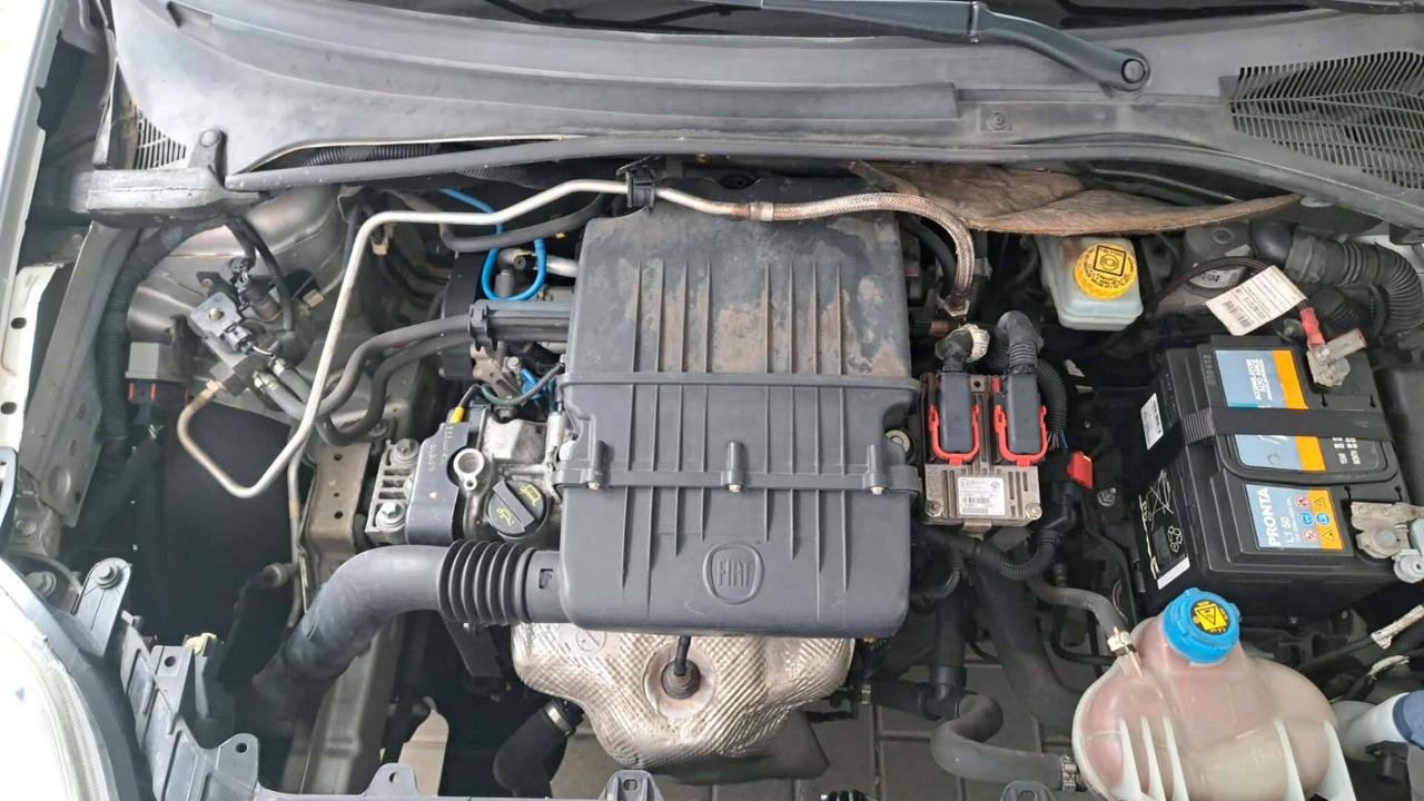 Fiat Punto 1.4 S&S 8V 5 porte Lounge