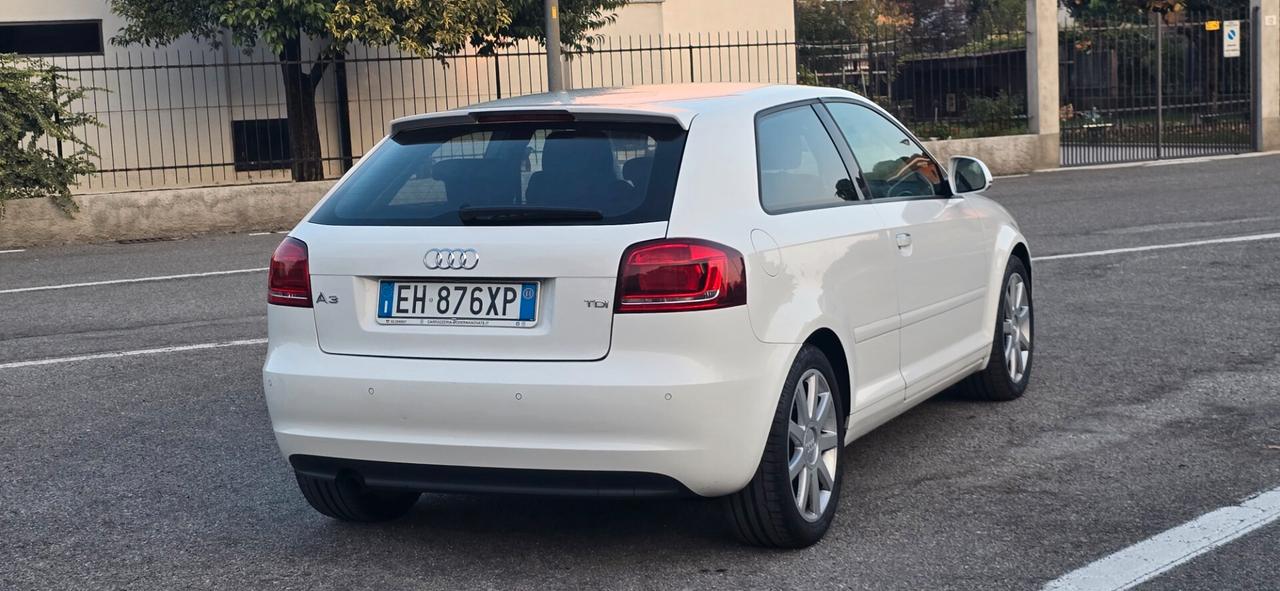 Audi A3 2.0 TDI F.AP. Attraction