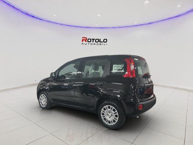 FIAT Panda 1.0 FireFly S&S Hybrid Icon