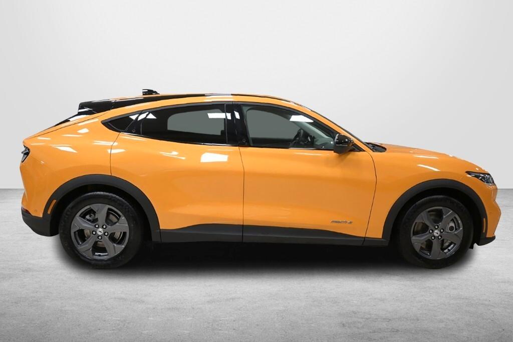 Ford Mustang MACH-E STANDARD RANGE 269CV ( FARI LED - PELLE PARK ASSIST NAVI MIRROR )