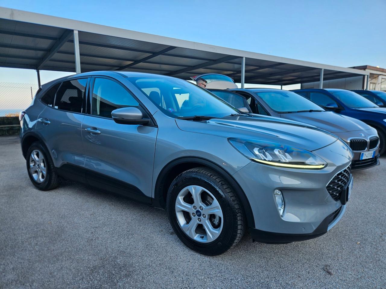 Ford Kuga 1.5 EcoBlue 120 CV aut. 2WD Connect