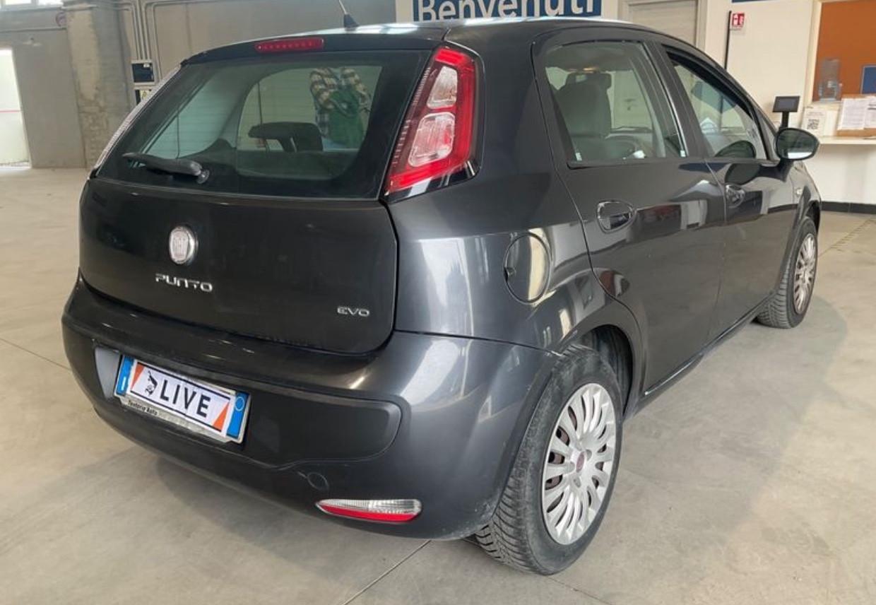 Fiat Punto Evo 1.2 5 porte Active