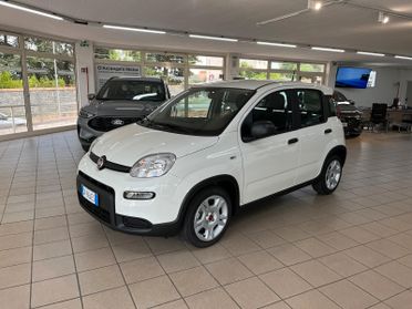 Fiat Panda 1.0 FireFly S&S Hybrid NEOPATENTATI