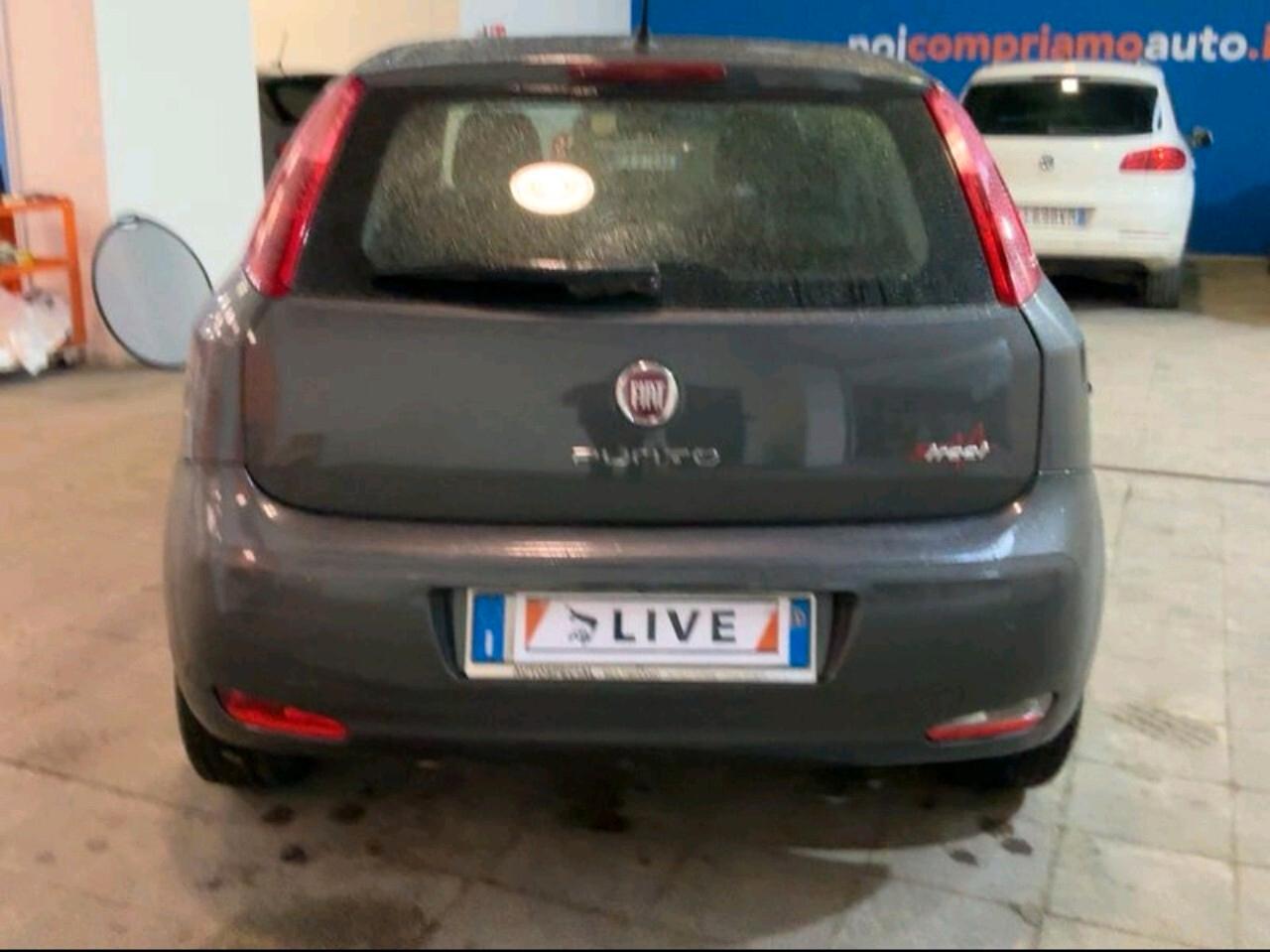 Fiat Punto 1.3 MJT 5p 75cv in arrivo a breve .