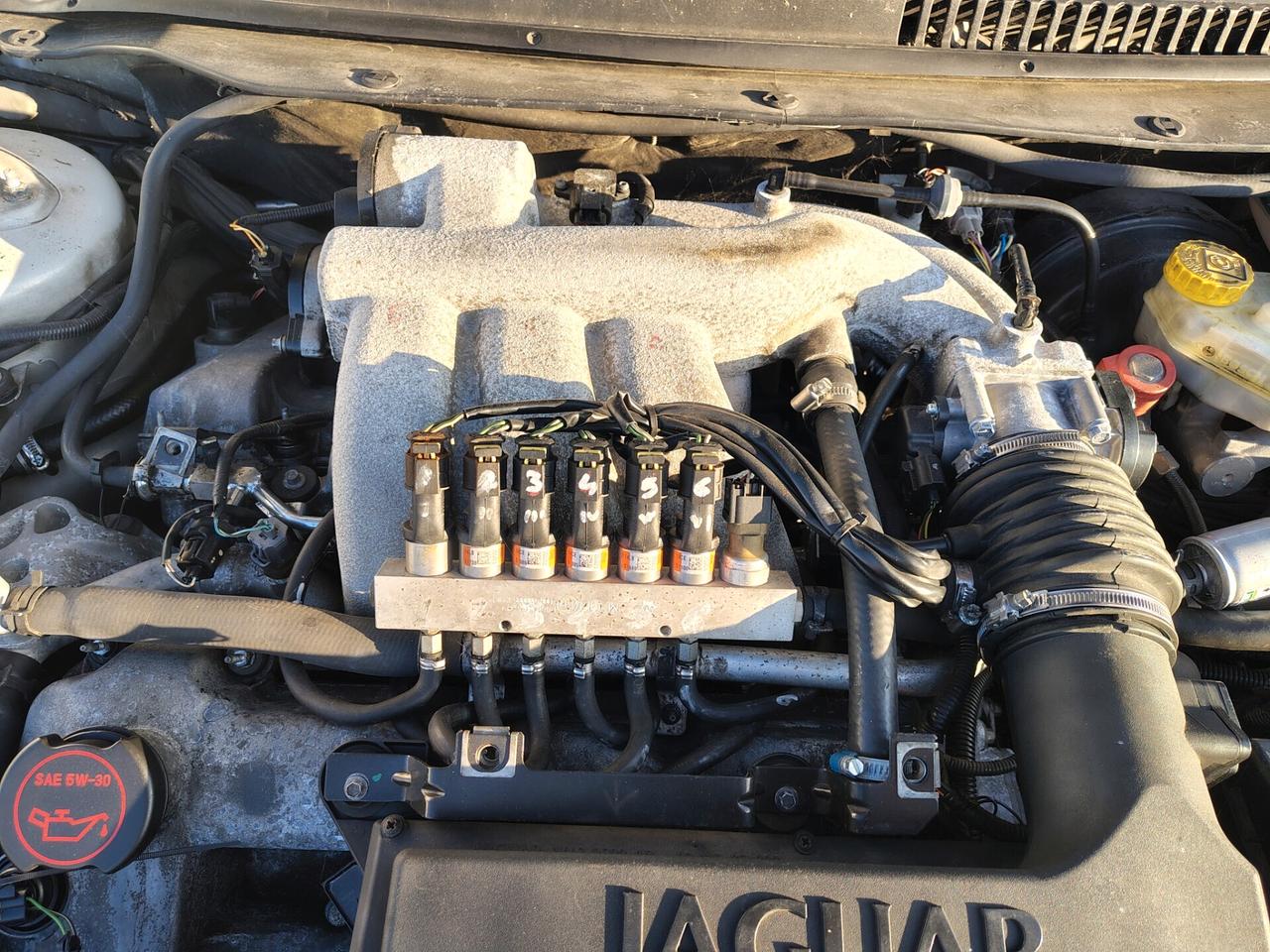 Jaguar X-Type 3.0 V6 24V cat Executive