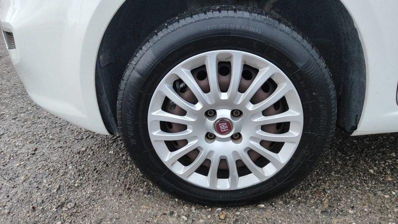 FIAT Punto Punto 1.4 8V 5 porte Natural Power Street