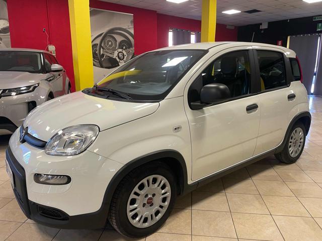 FIAT Panda 1.0 FireFly S&S Hybrid-PREZZO +IVA
