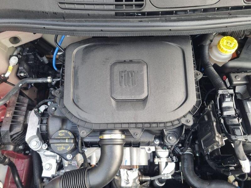 FIAT Panda NEW 1.0 70cv Hybrid Icon