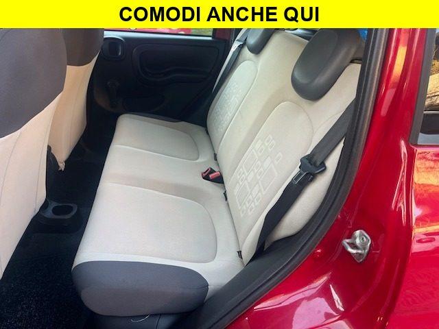 FIAT Panda 1.2 Red Collection
