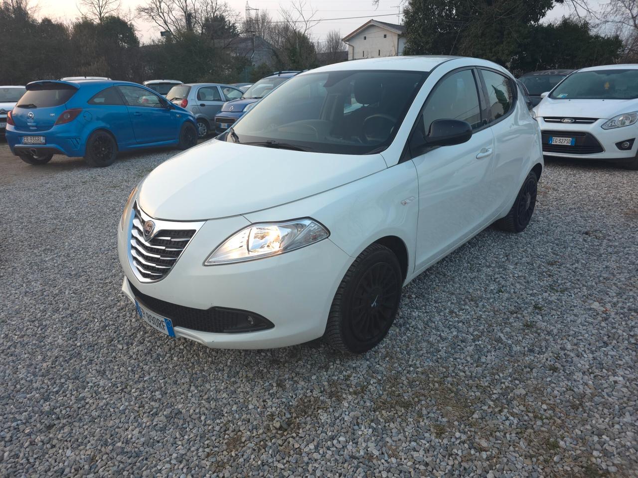 Lancia Ypsilon 1.3 MJT 16V 95 CV 5 porte S&S Platinum