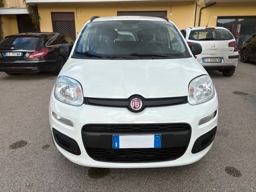 Fiat Panda 1.2 Benzina/GPL