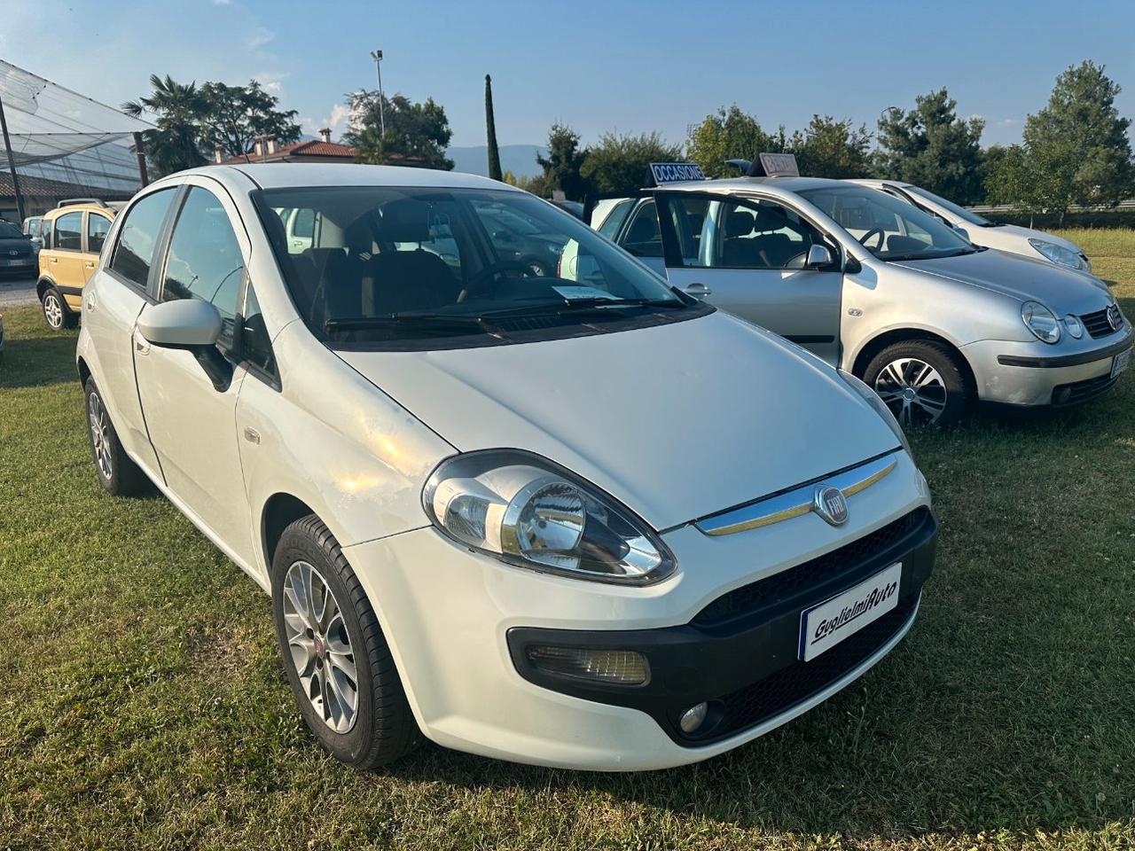 Fiat Punto Evo 5 Porte Punto Evo 5p 1.2 150th s&s
