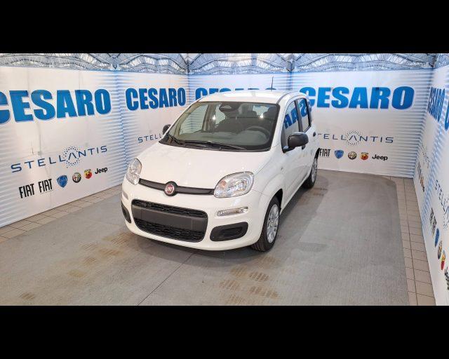 FIAT Panda 1.0 firefly hybrid Icon s&s 70cv 5p.ti