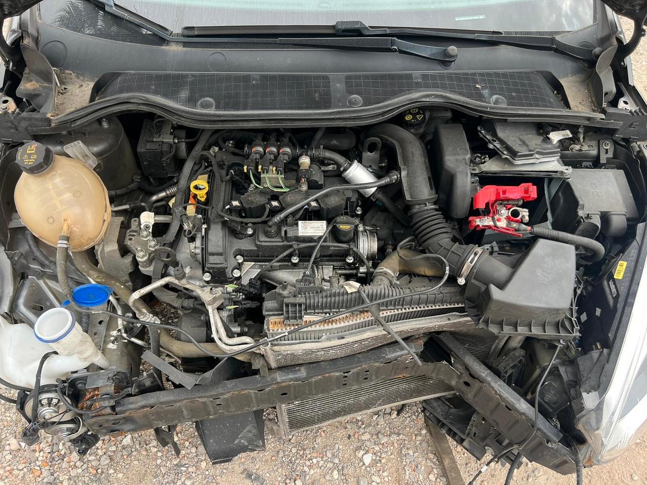 Ford Fiesta 1.1 75 CV GPL 5 porte Plus