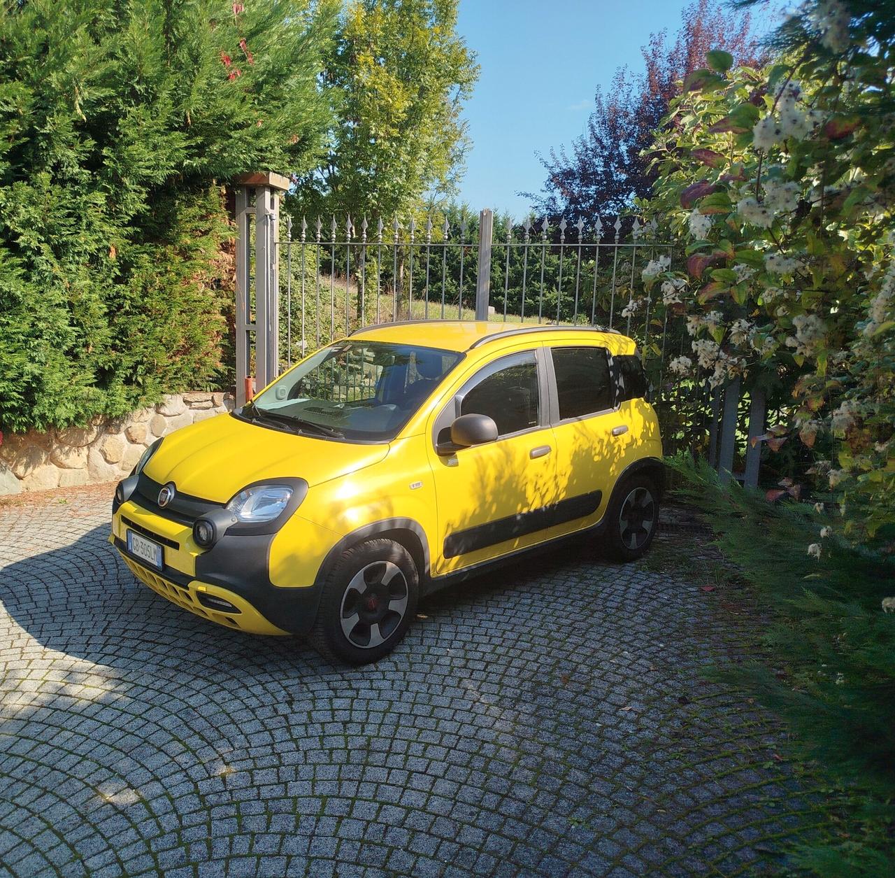 Fiat Panda Cross 1.0 FireFly S&S Hybrid