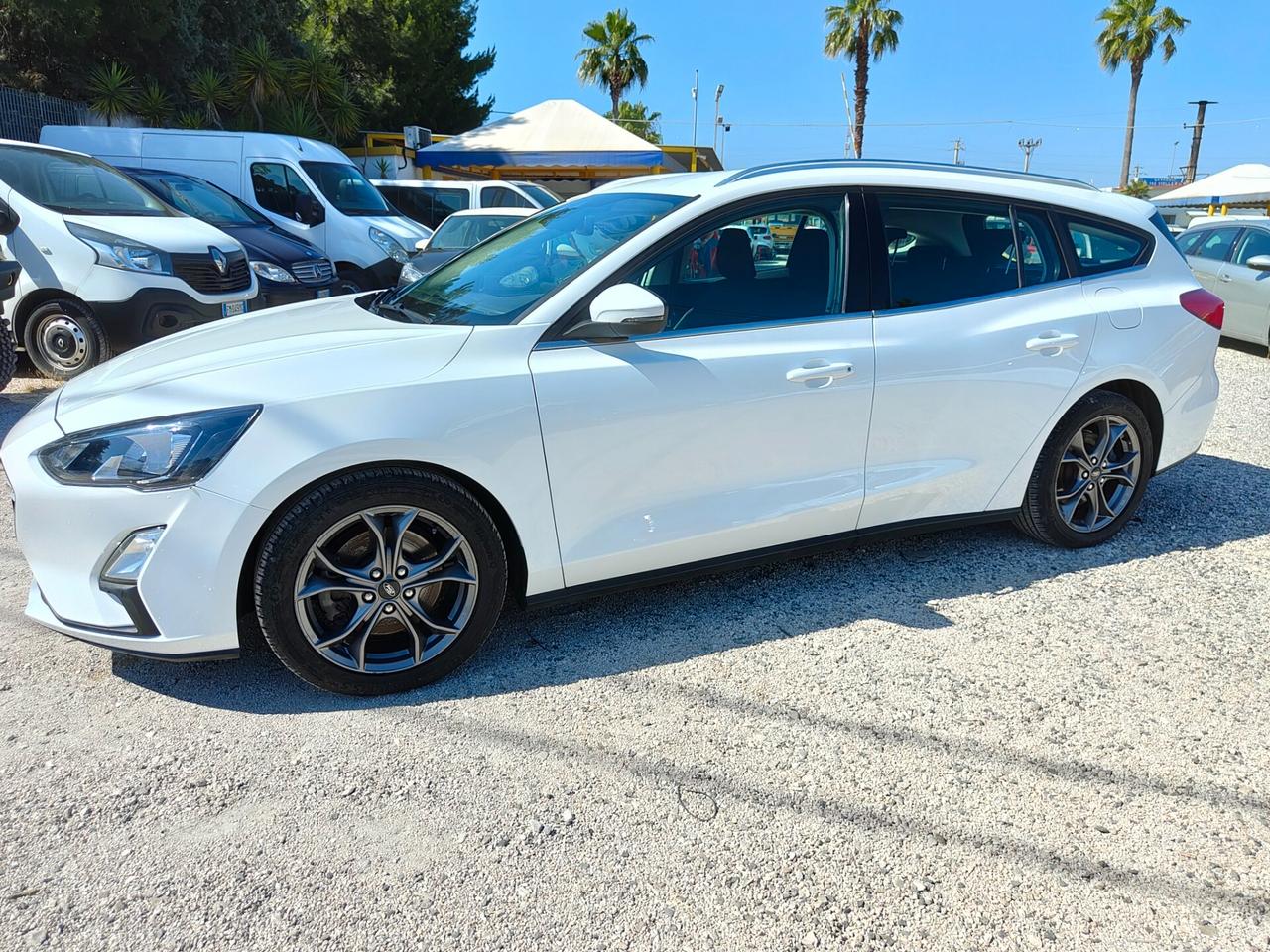 Ford Focus 1.5 EcoBlue 120 CV automatico SW Business Co-Pilot. IVA INCLUSA NEL PREZZO