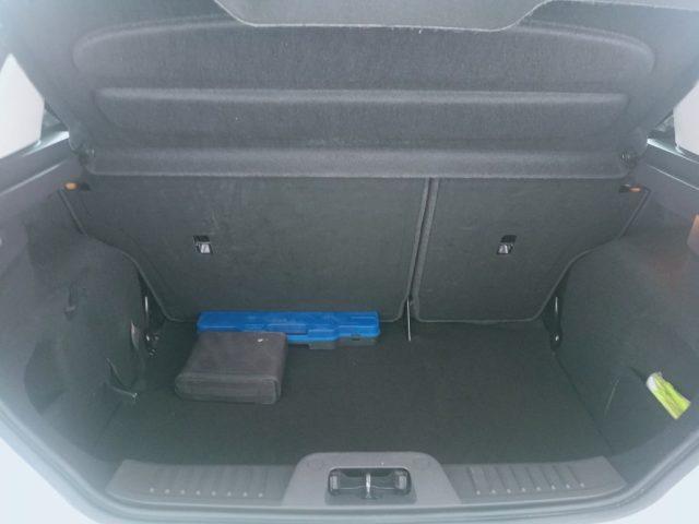 FORD Fiesta 1.5 TDCi 75CV 3 porte Business