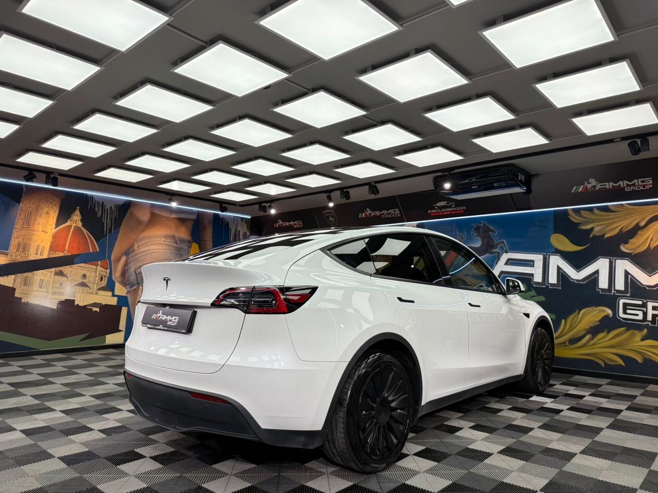 Tesla Model Y RWD (485)
